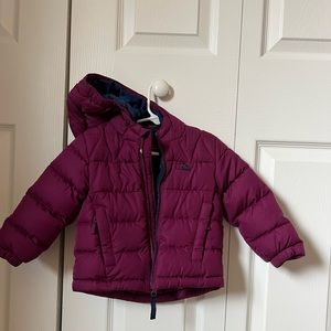 LL Bean Toddler Down Jacket